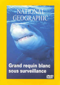 Grand Requin Blanc Sous Surveillance - National Geographic